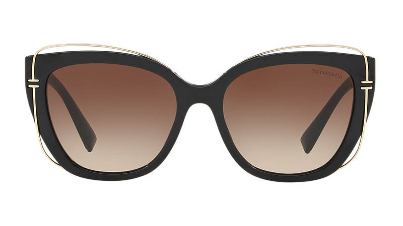 Tiffany & Co. Tiffany T Sunglasses in Black/Brown $360