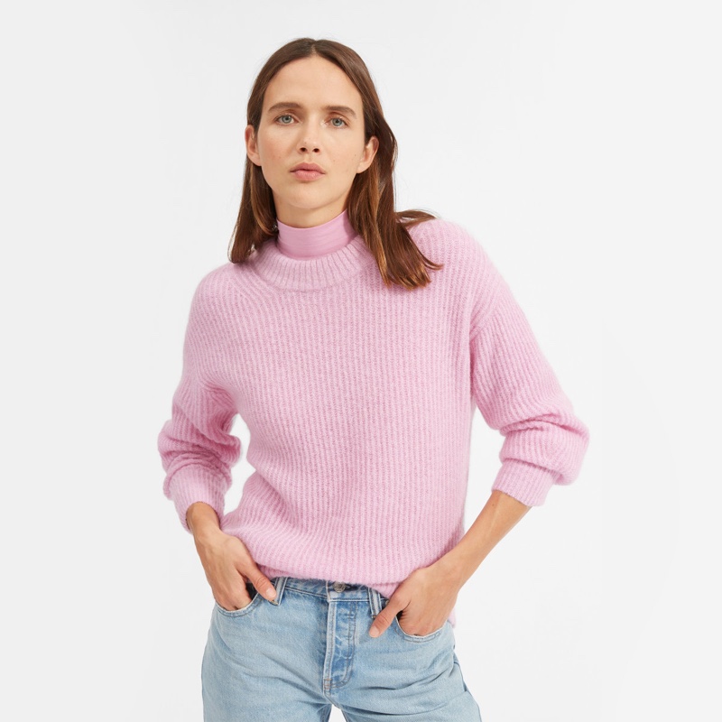 Everlane Oversized Alpaca Crew Sweater in Cool Pink $95
