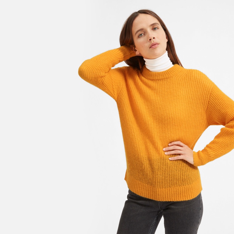 Everlane Oversized Alpaca Crew Sweater in Tang $95