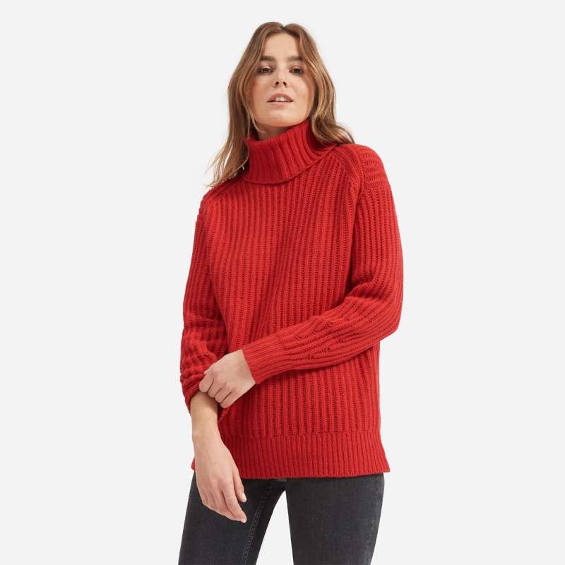 Everlane Alpaca Sweaters Buy