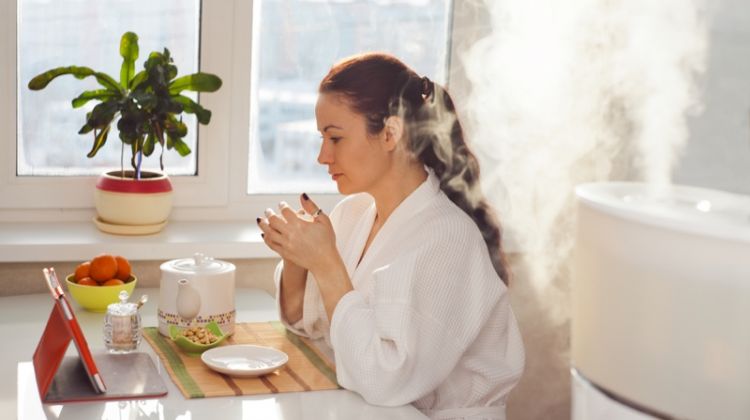 How to Use A Humidifier for Your Face Woman Table Humidifier