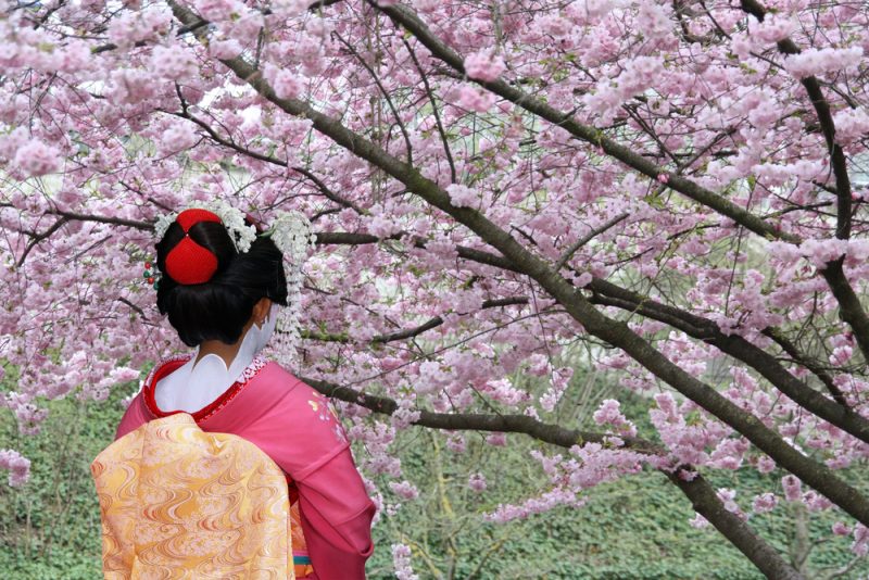 Tokyo Travels