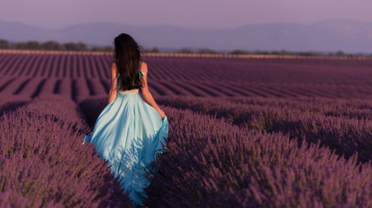 Lavender Field Model in Blue Dress