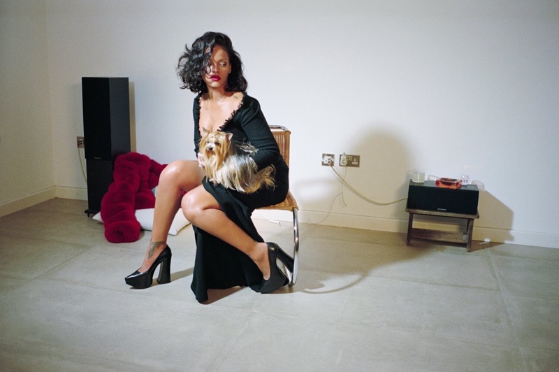 Posing with a dog, Rihanna wears Dior Haute Couture dress, Dior earrings and Vivienne Westwood pumps