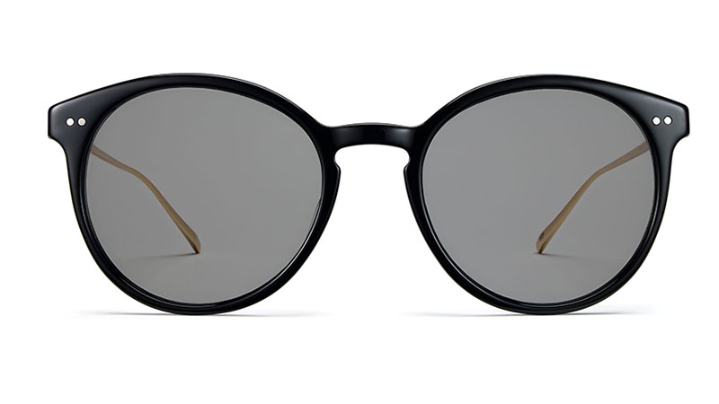 Warby Parker Langley Sunglasses in Jet Black with Gold $145