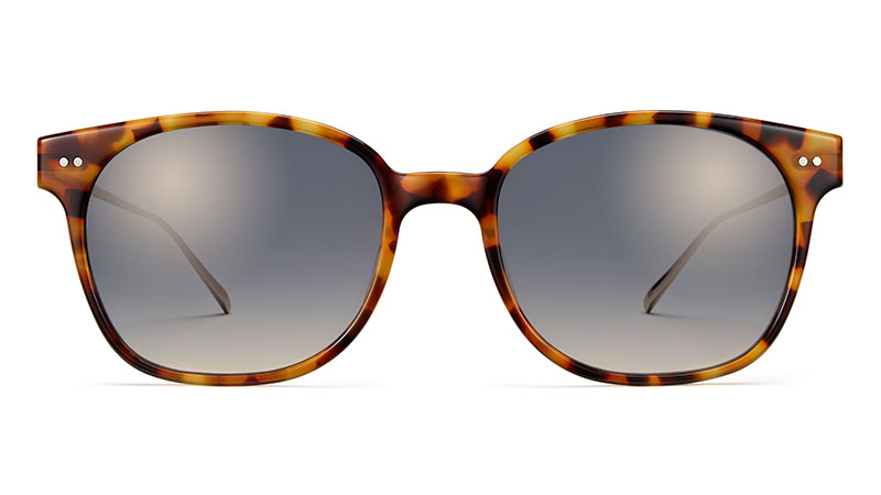 Warby Parker Tilden Sunglasses in Acorn Tortoise with Gold $145