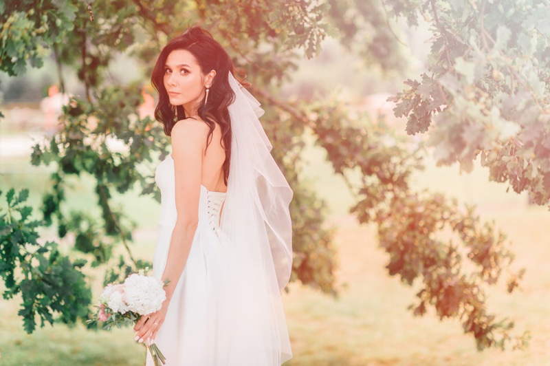 Brunette Wedding Dress Veil Outdoors Pretty Photo