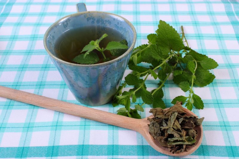 Lemon Balm Tea