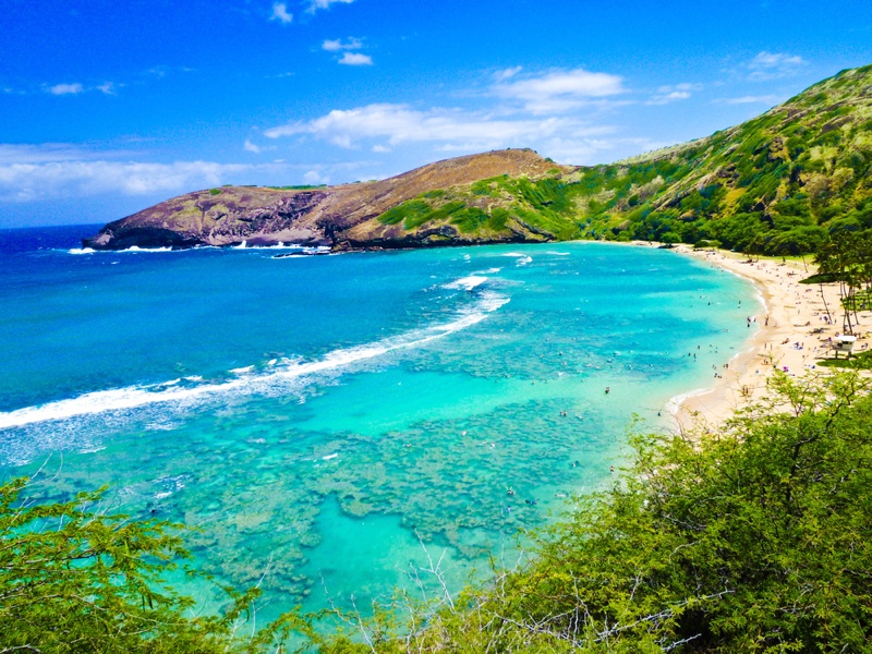 Oahu Hawaii Image Beach Landscape