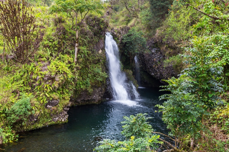 Tropical Waterfall Hawaii Grassland