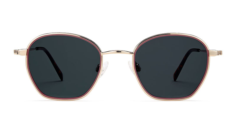 Warby Parker Larsen Sunglasses in Rhubarb Matte with Polished Gold $145