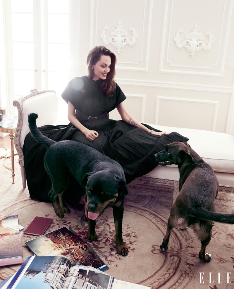 Posing with dogs, Angelina Jolie wears Dior dress and belt