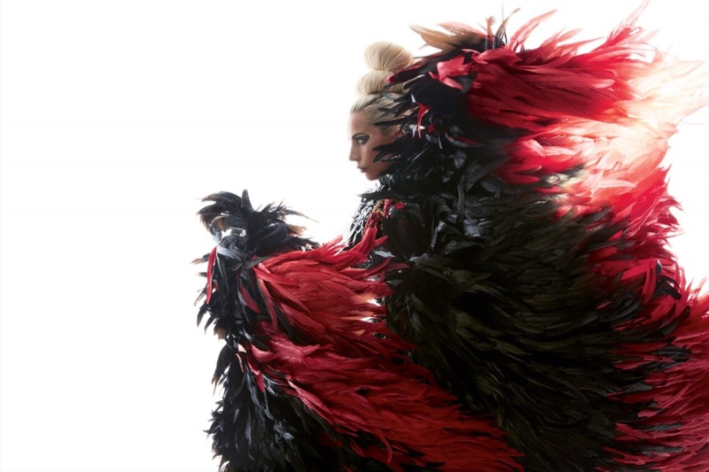 Rocking feathers, Lady Gaga wears Aura Tout Vu dress