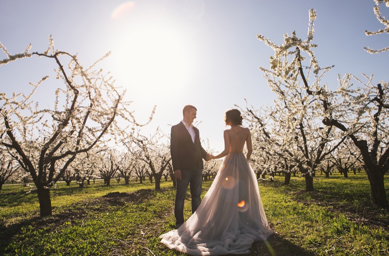 Bride Groom Forest Trees