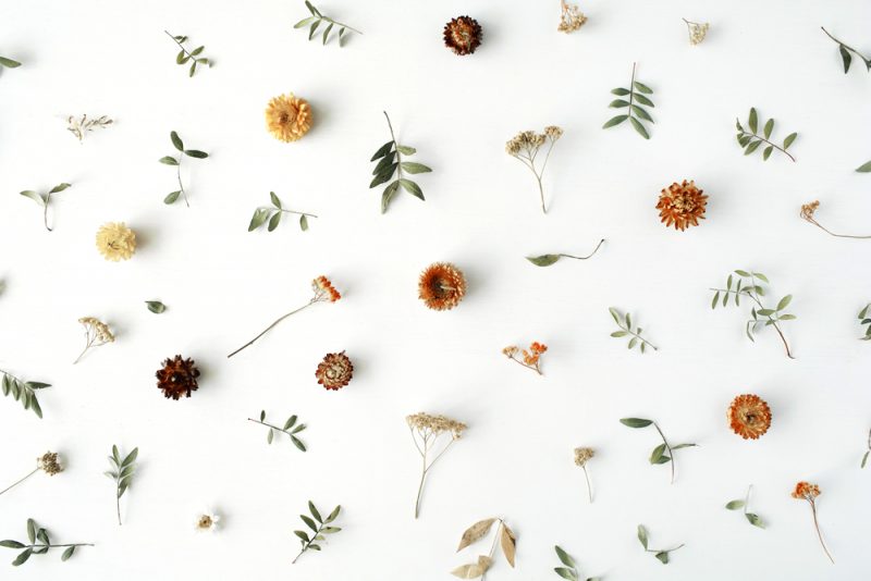 Dried Flowers