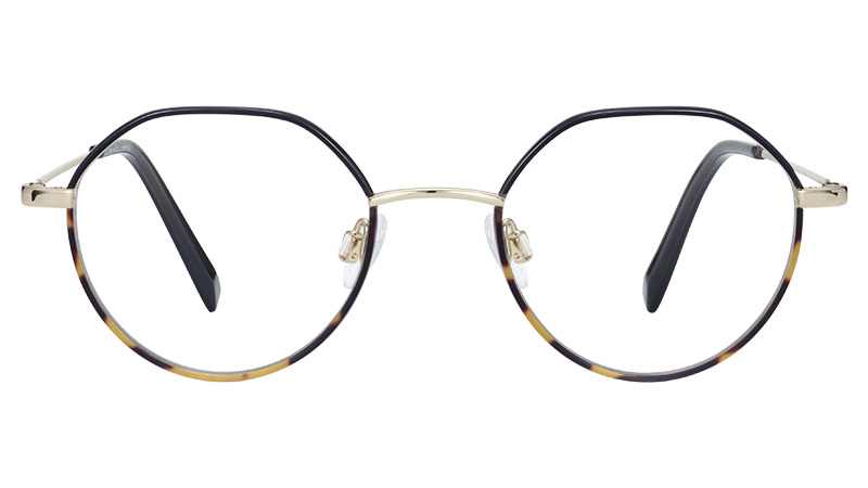 Warby Parker Layton Glasses in Goldfinch Tortoise Fade with Polished Gold $145