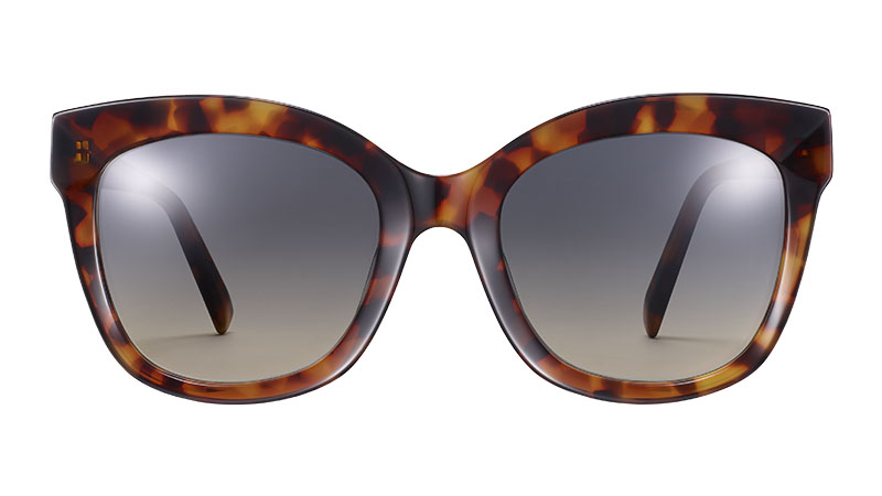 Warby Parker Ada Sunglasses in Acorn Tortoise $95