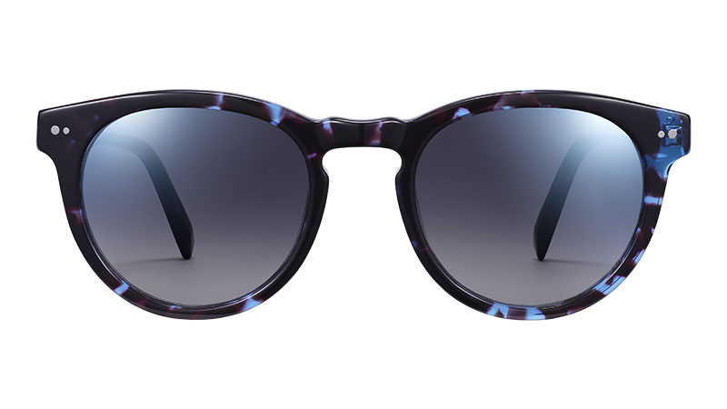 Warby Parker Hayes Sunglasses in Riverbed Tortoise $95