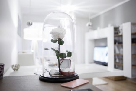 Top 10 Occasions for Giving Eternity Roses as Gifts Eternity Rose