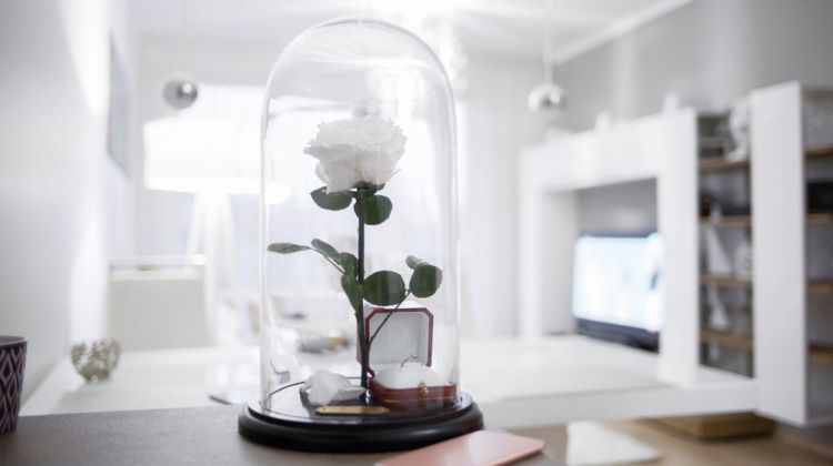 Top 10 Occasions for Giving Eternity Roses as Gifts Eternity Rose