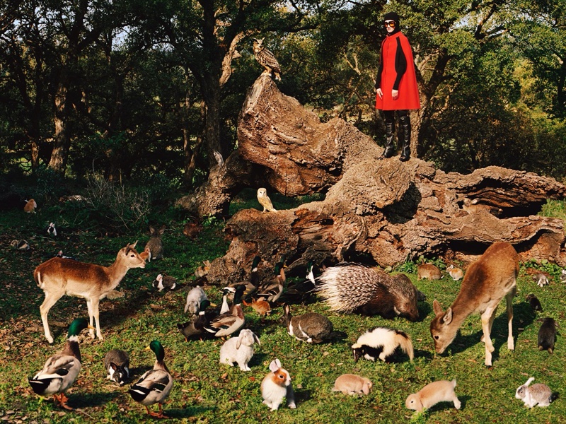 Gucci delivers an ode to nature for its pre-fall 2020 campaign.