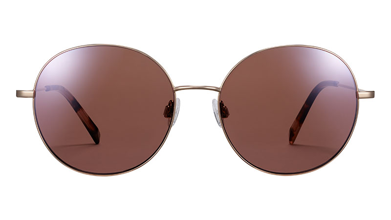 Warby Parker Nellie Sunglasses in Polished Gold $145