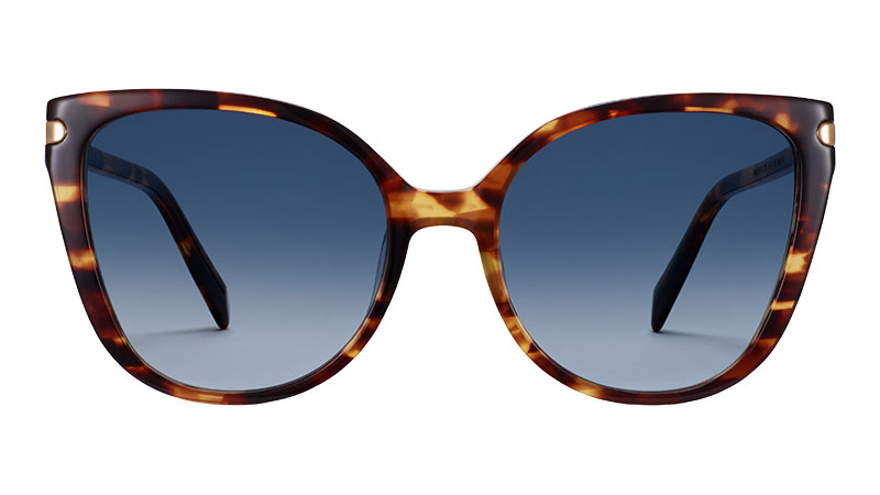 Warby Parker Phoebe Sunglasses in Root Beer with Polished Gold $145