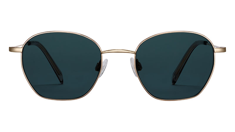 Warby Parker Robbie Sunglasses in Polished Gold $145