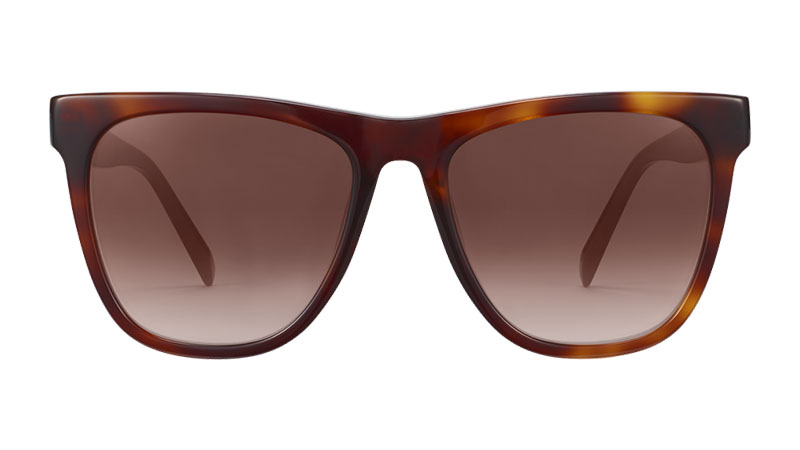 Warby Parker Mead Sunglasses in Rye Tortoise $95