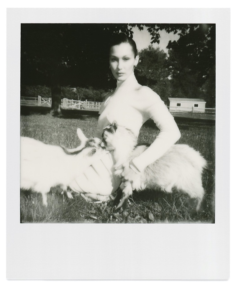 bella hadid polaroids
