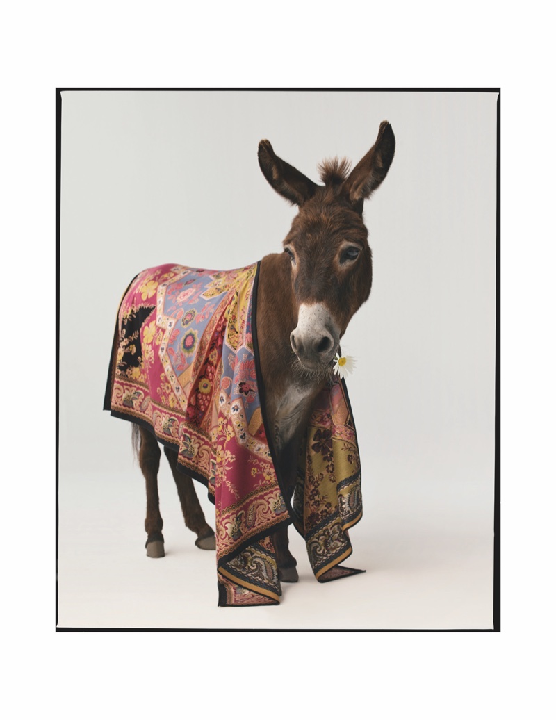 A donkey appears in Etro fall-winter 2020 campaign.