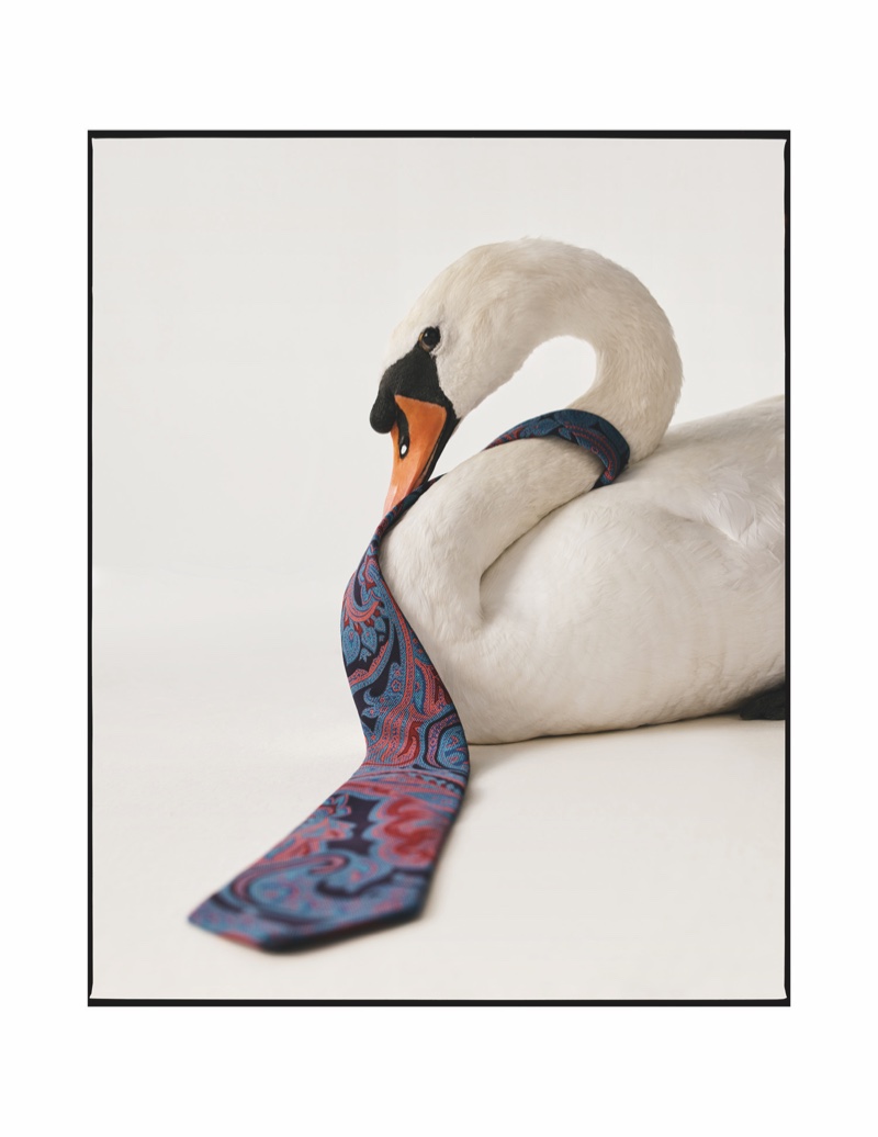 Swan appears in Etro fall-winter 2020 campaign.
