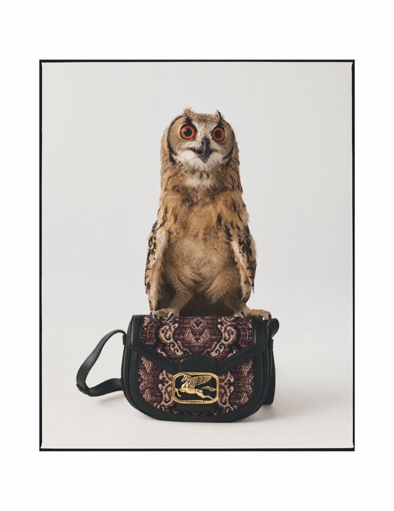 Owl appears in Etro fall-winter 2020 campaign.