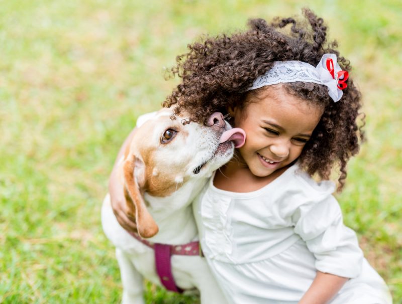 Dog and Small Girl