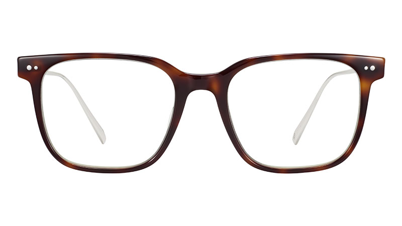 Warby Parker Caleb Glasses in Woodgrain Tortoise with Polished Silver $145