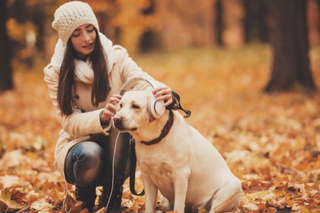 Best CBD Dog Treats for Seizures: Do They Really Work? Dog Woman Park Autumn Leaves Headphones