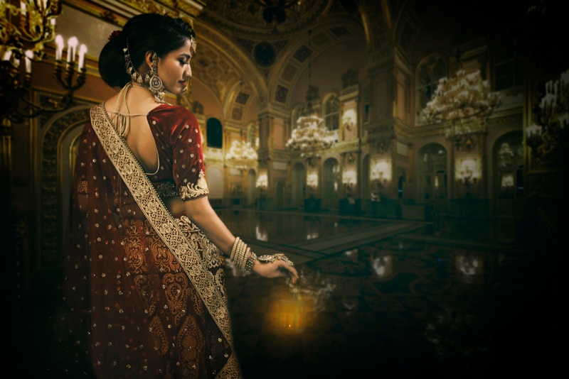 Indian Woman Sari Embellishment Fashion