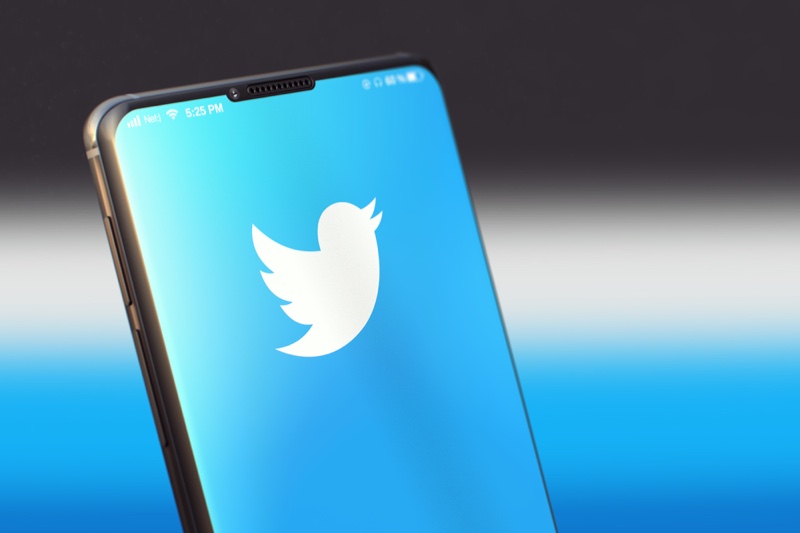 Twitter Logo Phone