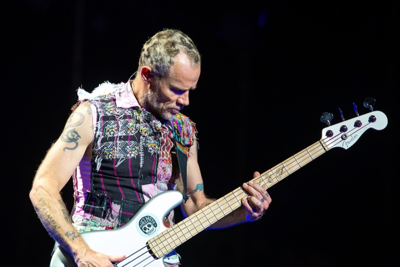 Flea Bassist Red Hot Chili Peppers