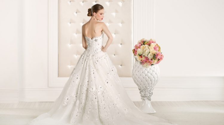 Model Embellished Ballgown Wedding Dress Back