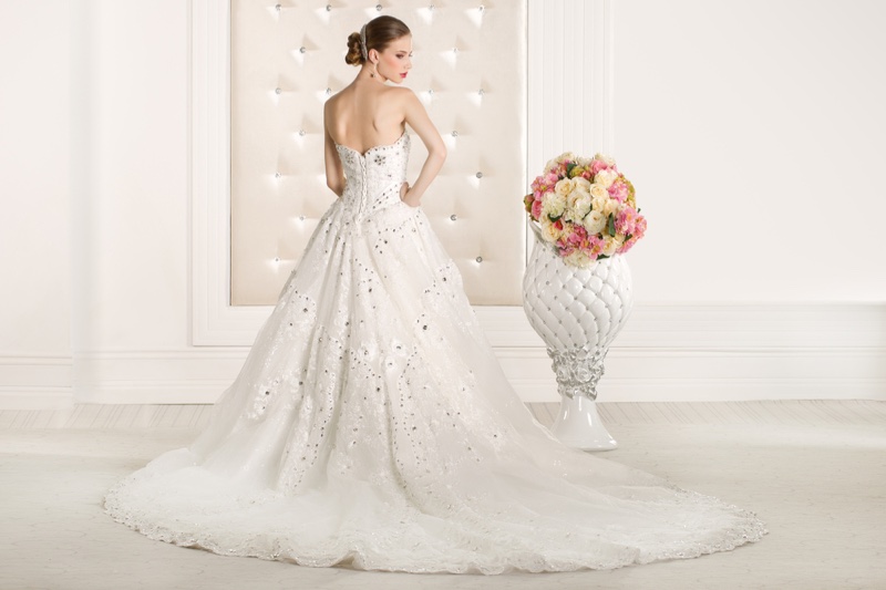 Model Embellished Ballgown Wedding Dress Back