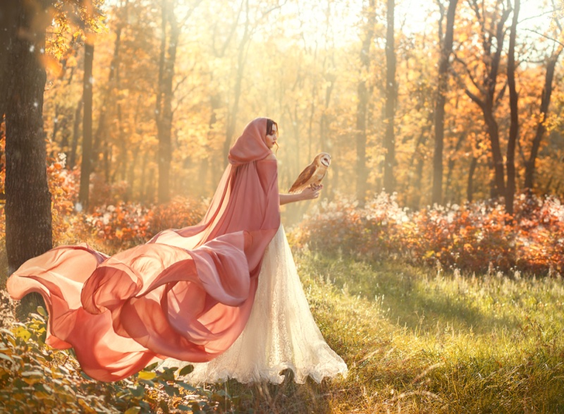 Woman Forest Pink Cloak Field Holding Owl Fantasy