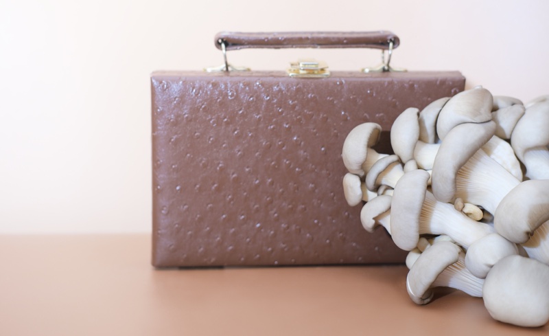 Mushroom Leather Bag