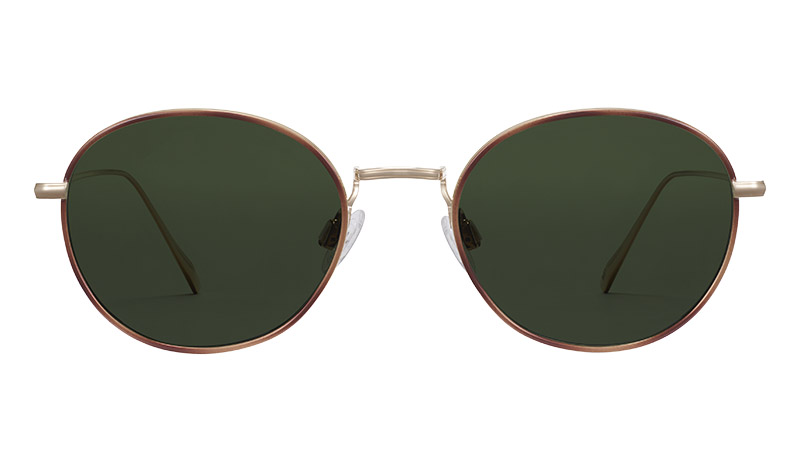 Warby Parker Colvin Sunglasses in Polished Gold with Savanna Tortoise $195