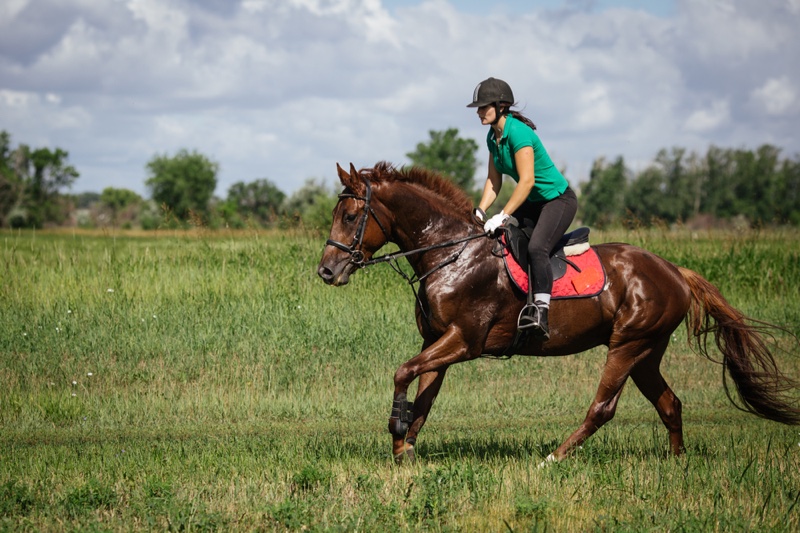 Woman Riding Brow Horse Equestrian Green Top