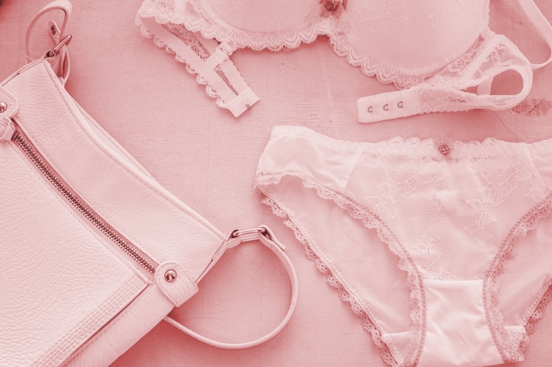https://www.fashiongonerogue.com/wp-content/uploads/2021/04/Womens-Underwear-Pink-Lace-Bag-Closeup-Isolated.jpg