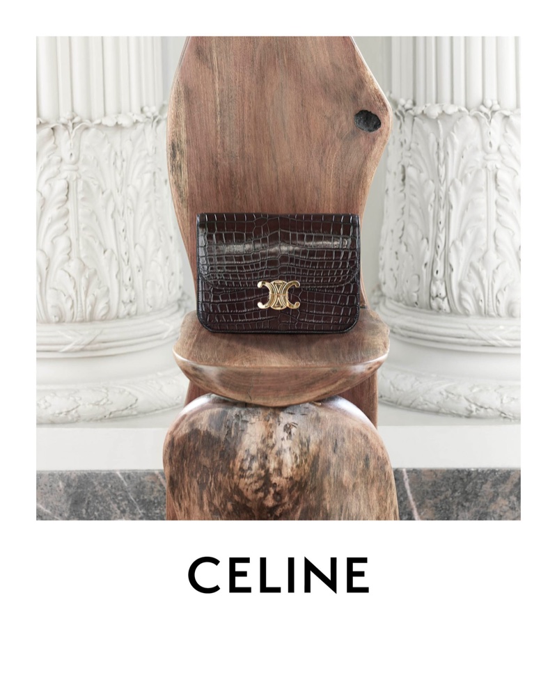 Celine Triomphe Bag.