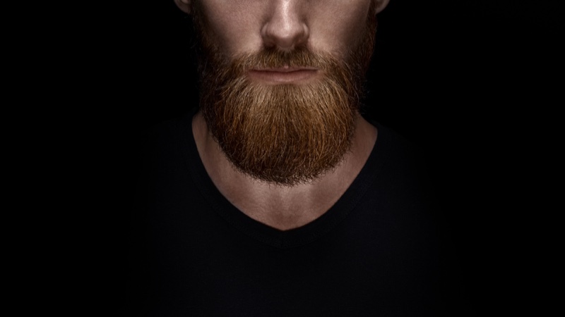 Closeup Groomed Male Model Beard