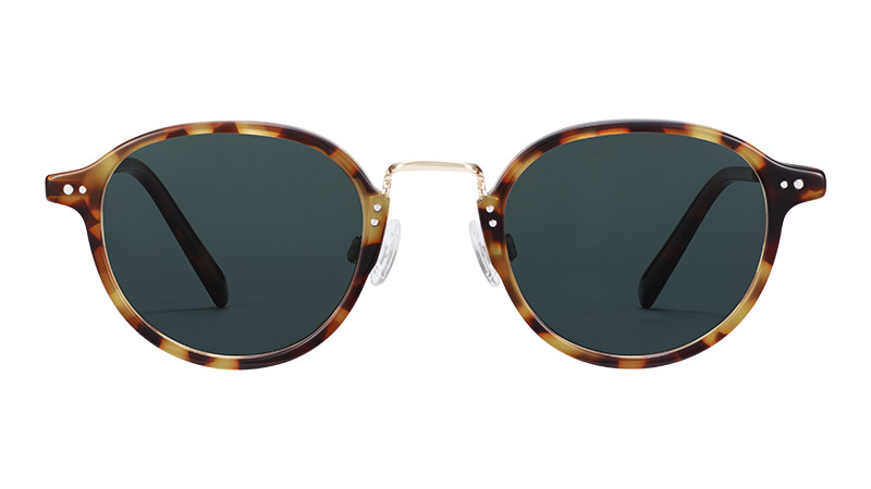 Warby Parker Thorpe Sunglasses in Acorn Tortoise with Riesling $145