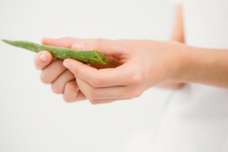 Closeup Woman Holding Aloe Vera Leaf